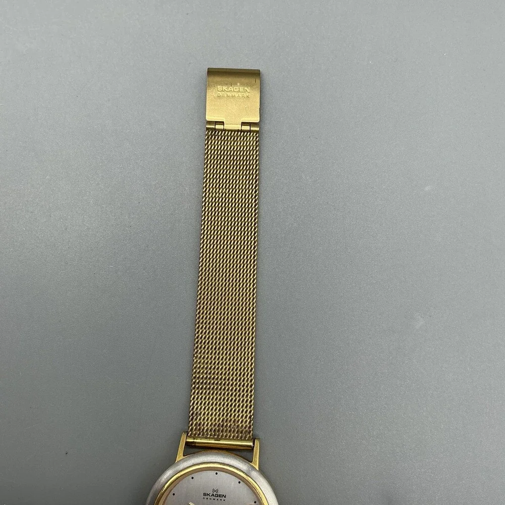Skagen 16SGS Womens Watch 28mm Silver Gold Tone Mesh Band Date New Battery